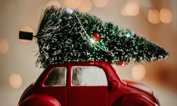 Querido Pai Natal das fodas!
